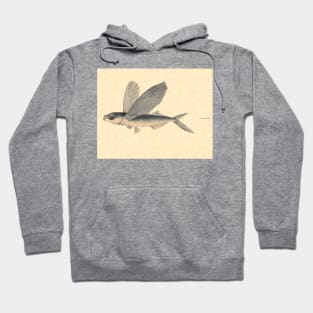 Flying Fish by Mary Symonds Hoodie